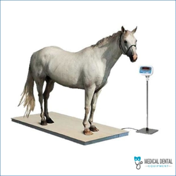 DRE EQUINE VETERINARY DIGITAL FLOOR SCALE Digital Floor Scale dre-equine-veterinary-digital-floor-scale DENTAMED USA Digital Floor Scale dre